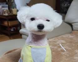 His dog often appears in his Instagram posts.